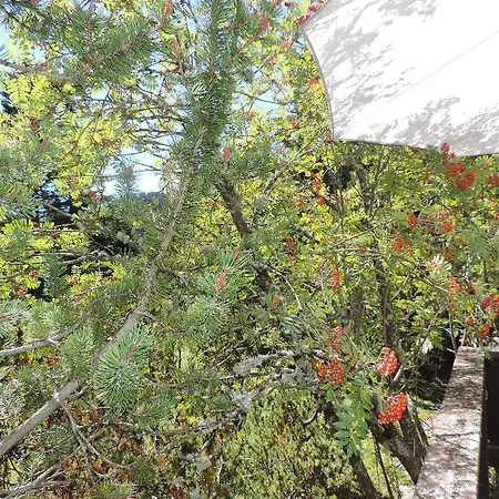 Dom wakacyjny Voa Crestas 7